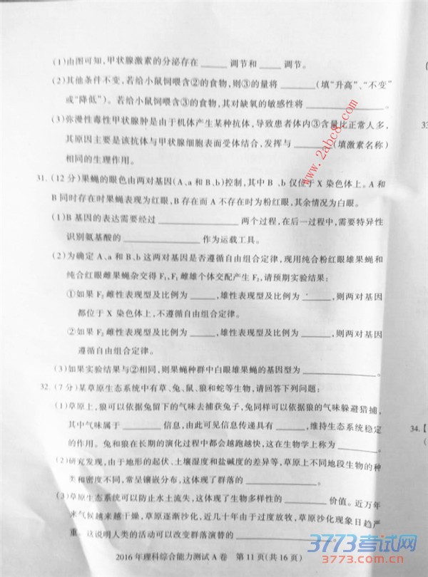 2016ʯׯһģ۴2016ʯׯибҵһģ⿼