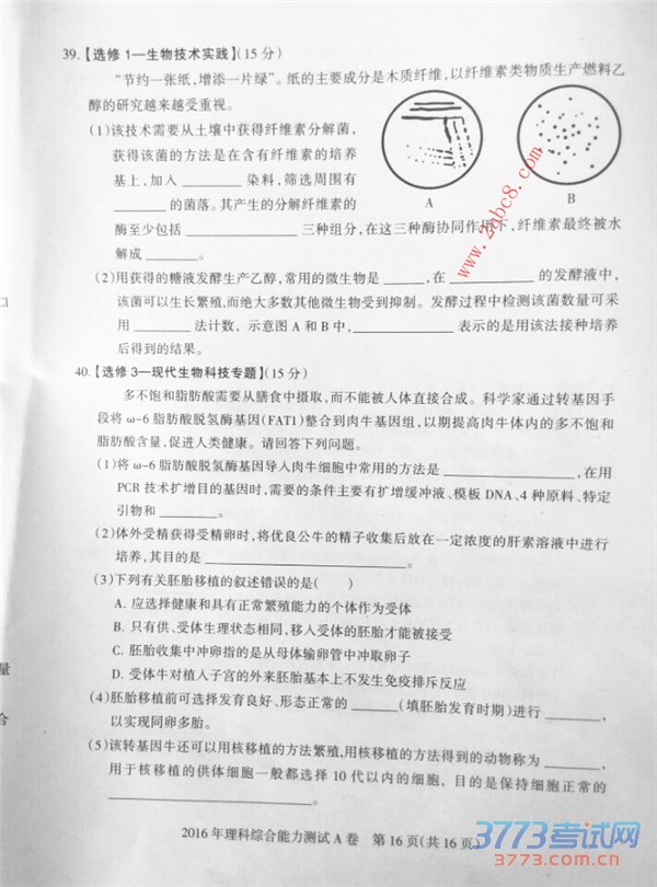 2016ʯׯһģ۴2016ʯׯибҵһģ⿼