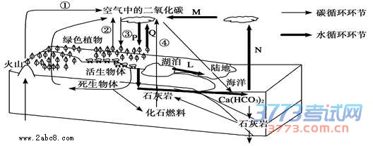 1460548245867988.jpg 2016江门一模文综答案江门市2016届高三第一次调研考试文综试题答案