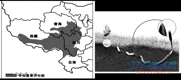 1460548251654046.jpg 2016江门一模文综答案江门市2016届高三第一次调研考试文综试题答案