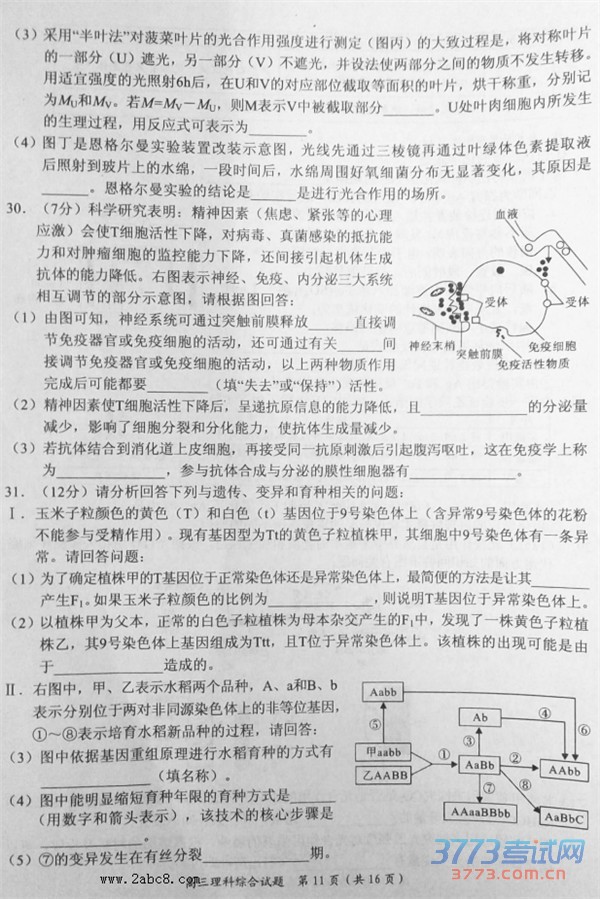 2016ԭУ۴ԭУ2016߿ģ·